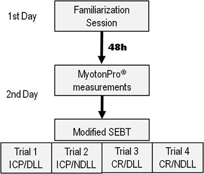 The Influence of Dental Occlusion on Dynamic Balance and Muscular Tone